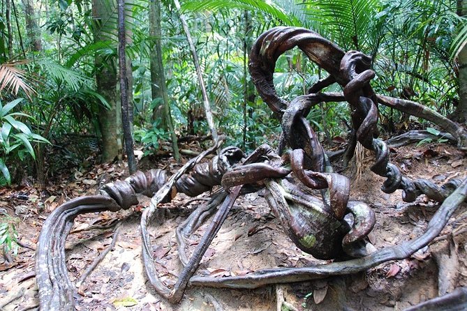 4-Day Jungle Experience in Taman Negara from Kuala Lumpur - Day three: river rapids and a Bateq settlement