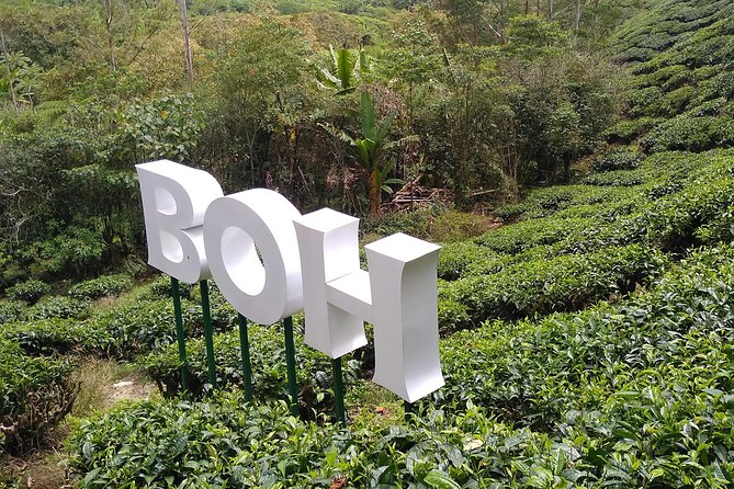Amazing Cameron Highland Day Tour From Kuala Lumpur - The 7:00 am start and long climb from Kuala Lumpur