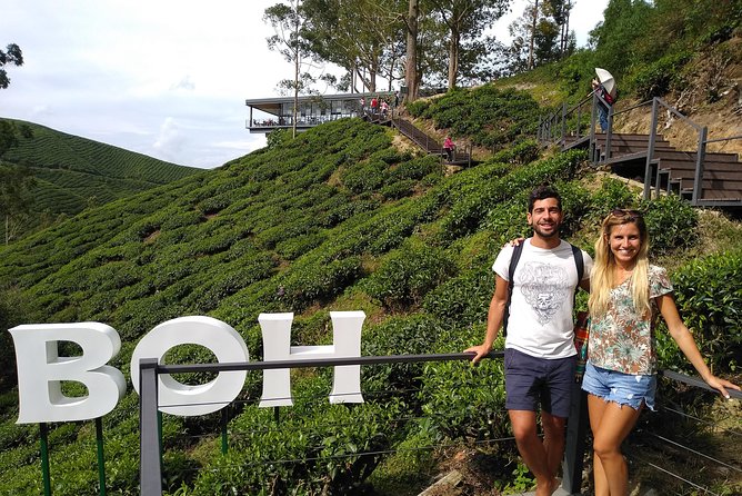 Amazing Cameron Highland Day Tour From Kuala Lumpur - BOH Tea Estate: the day’s main view