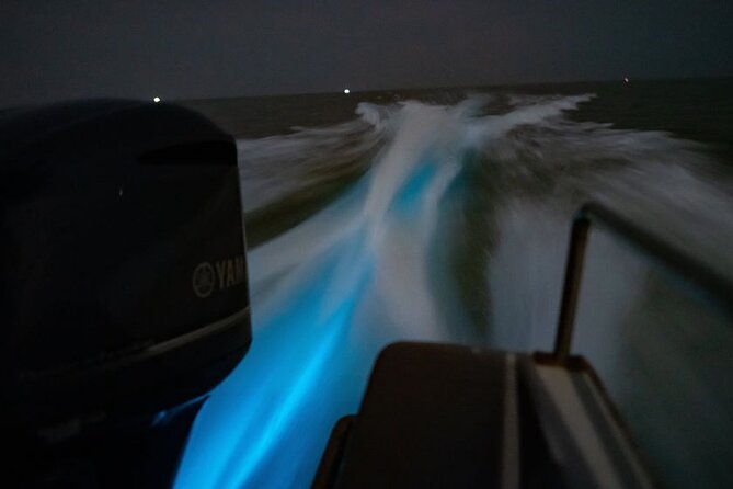 Amazing Fireflies With Blue Tears Watching & Kuala Selangor Tour - Melawati Hill, monkeys, and the Strait of Malacca