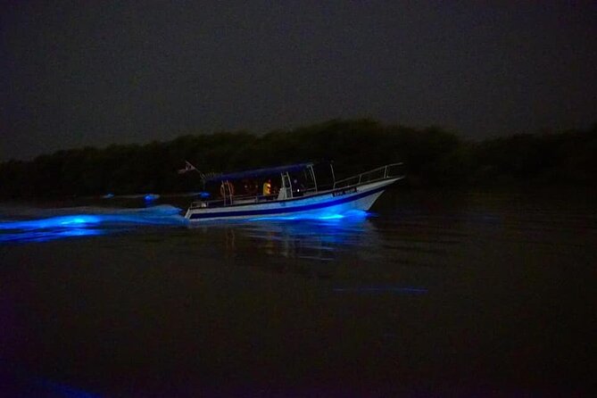 Amazing Fireflies With Blue Tears Watching & Kuala Selangor Tour - Kampung Kuantan firefly boat ride