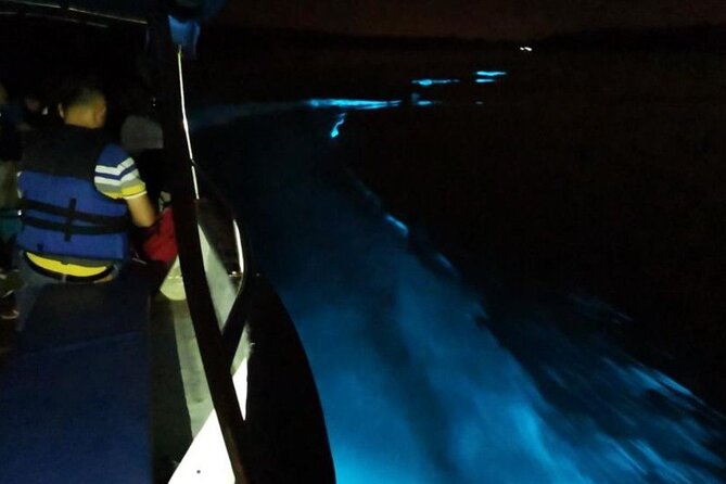 Amazing Fireflies With Blue Tears Watching & Kuala Selangor Tour - Guides, vehicles, and the level of attention
