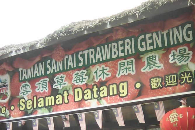 Batu Caves and Genting Highland Tour - What the Private Car Adds