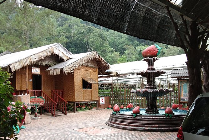 Batu Caves and Genting Highland Tour - Choosing a Morning or Afternoon Pickup