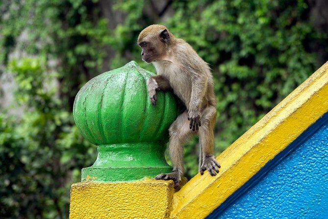 Batu Caves and Watching Fireflies in Kuala Selangor - 3 pm departure and the ride beyond Kuala Lumpur