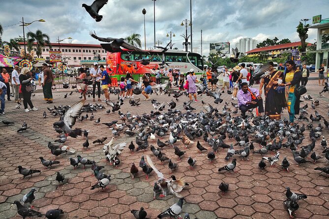 Batu Caves Twilight and Little India Evening Tour - What the guide and vehicle arrangement means