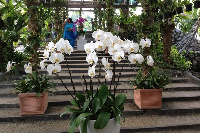 Bird Park & Butterfly Farm Nature Tour From Kuala Lumpur - Taman Orkid and the orchid collection