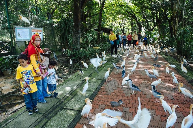 Bird Park & Butterfly Farm Nature Tour From Kuala Lumpur - Who will get the most from this outing