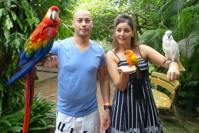 Bird Park & Butterfly Farm Nature Tour From Kuala Lumpur - Timing, comfort, and practical planning