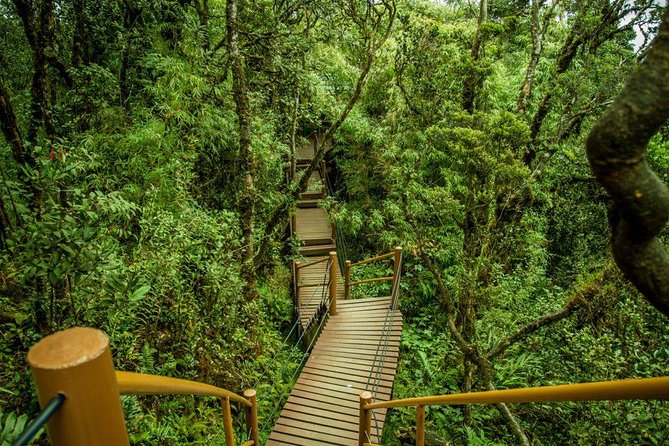 Cameron Highland Day Tour from Kuala Lumpur - A basket factory adds a useful local touch
