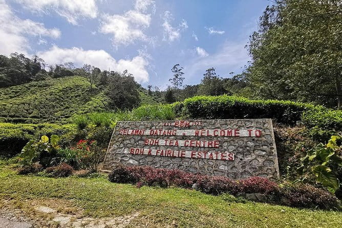 Cameron Highland Day-Trip from Kuala Lumpur - From Kuala Lumpur heat to Cameron Highlands air