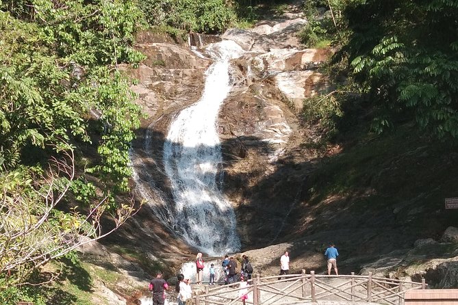 Cameron Highland Day Trip - How the private format shapes the day