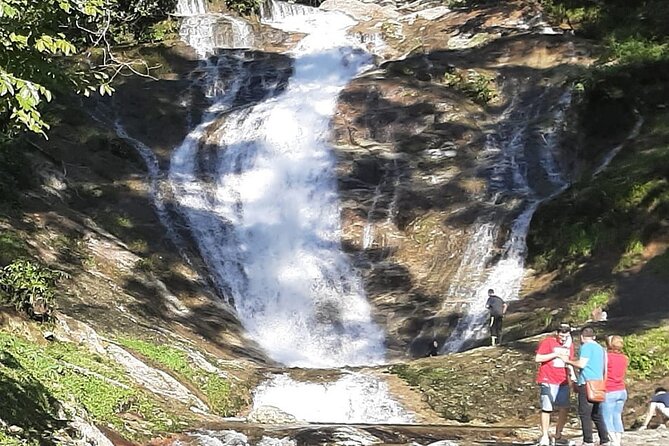 Cameron Highland Full Day Tour from KL City (Private) - Butterfly Garden, Honey Bee Farm, and Cactus Valley