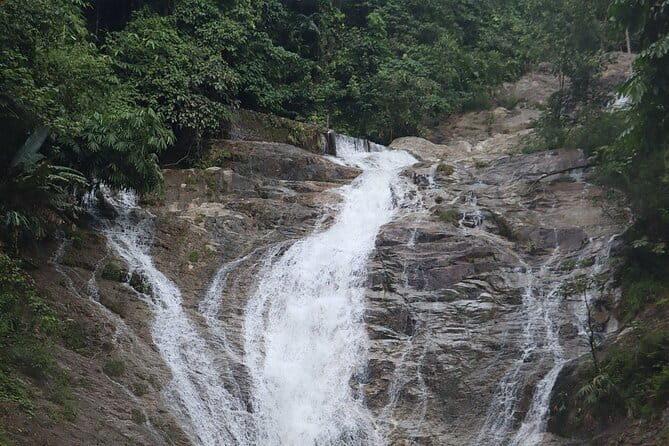 Cameron Highland Full Day Tour from KL City Private Tour - Why Cameron Highlands works as a day from Kuala Lumpur