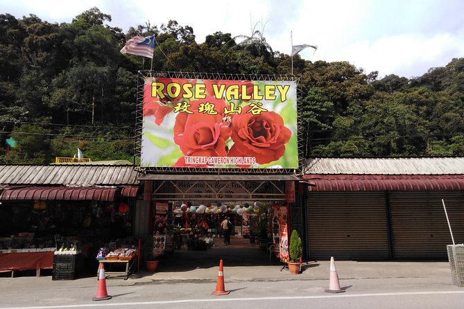 Cameron Highland Private Day Tour - MARDI Agro Technology Park and the farming story