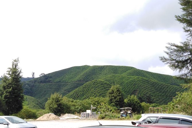 Cameron Highland Private Day Tour - Kea Farm Market and the highland produce stalls