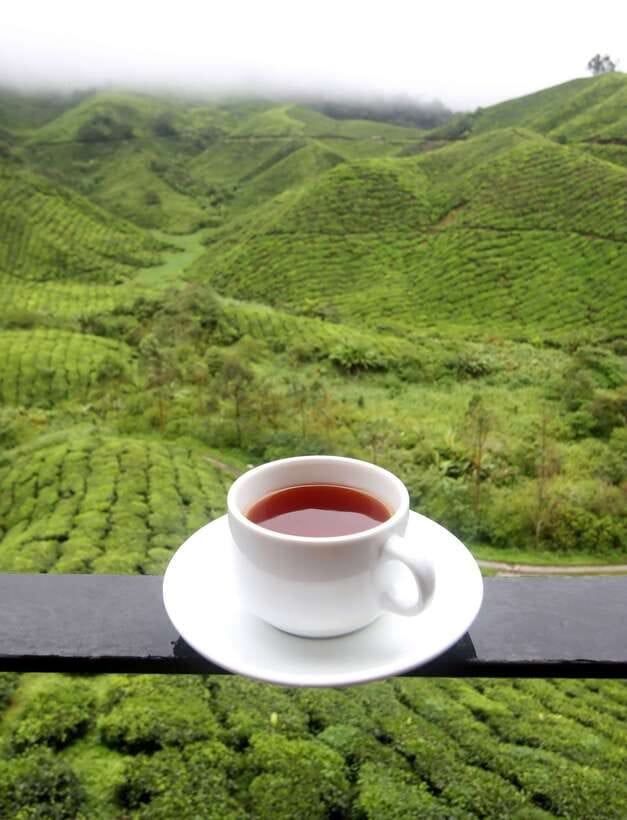 Cameron Highlands 1 Day Tour from Kuala Lumpur - Leaving Kuala Lumpur for the Cameron Highlands
