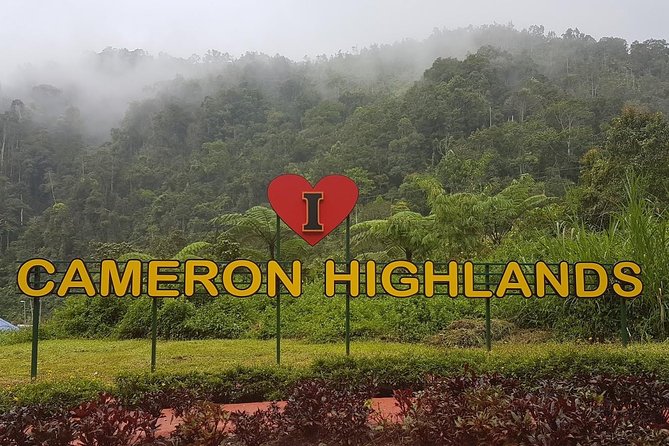 Cameron Highlands Amazing Day Trip Tour with Local Lunch - Why Cameron Highlands makes a worthwhile day trip