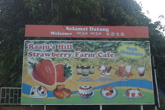 Cameron Highlands Amazing Day Trip Tour with Local Lunch - Rose Centre and the final burst of colour