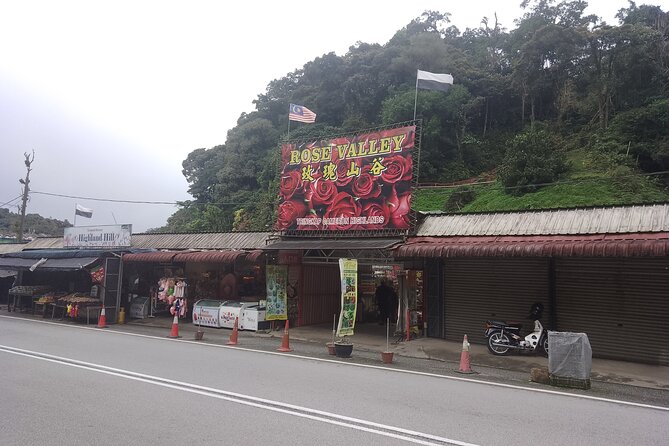Cameron Highlands Day Trip - Who Will Enjoy This Day Trip?