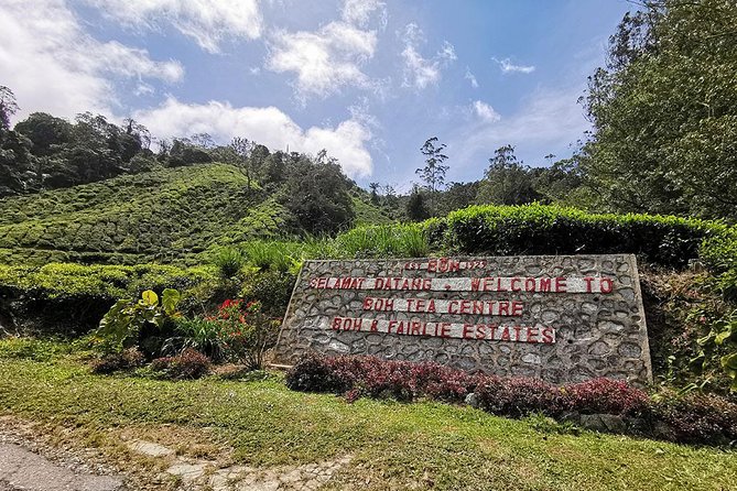 Cameron Highlands Full-Day Nature Tour - BOH Tea Plantation and the long road into the hills