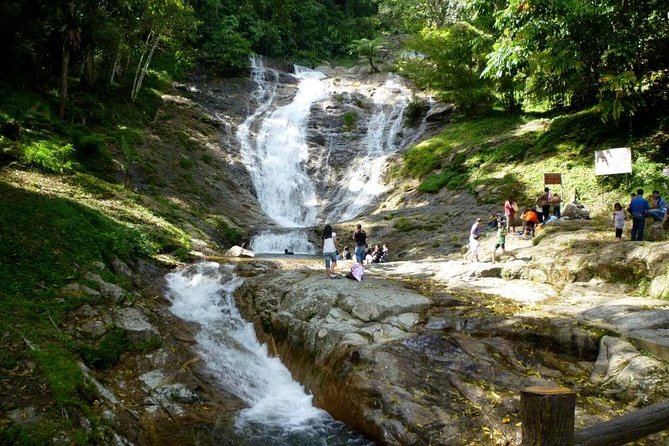 Cameron Highlands Full-Day Nature Tour - Brinchang Night Market, only on selected evenings