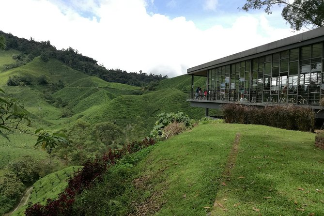 Cameron Highlands, Garden of Nature Full Day Private Guided Tour - The 7:30 am pickup and private drive