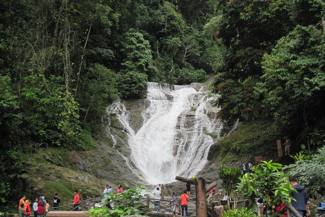 Cameron Highlands, Garden of Nature Full Day Private Guided Tour - Orang Asli huts and a more local side of the trip
