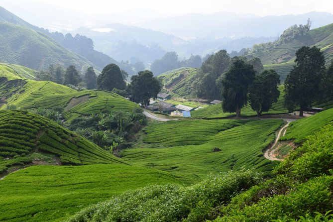 Cameron Highlands, Garden of Nature Full Day Private Guided Tour - Lata Iskandar Waterfall gives the route a natural pause