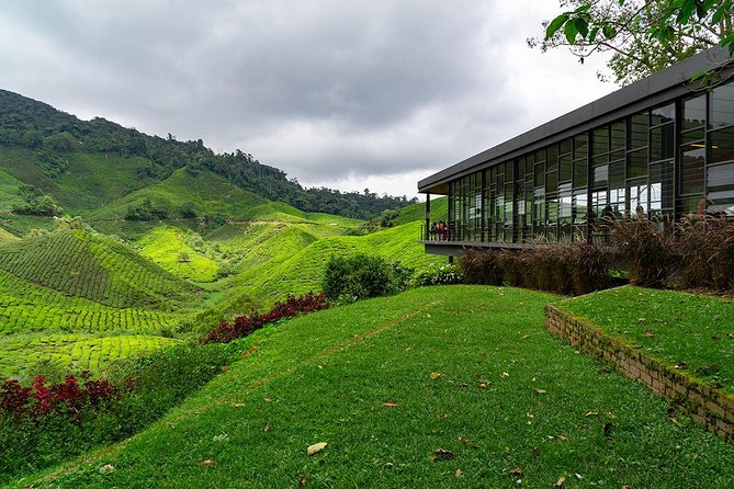 Cameron Highlands One Day Trip from Kuala Lumpur Privately Organised - Lata Iskandar waterfall, fruit, and the first hill views
