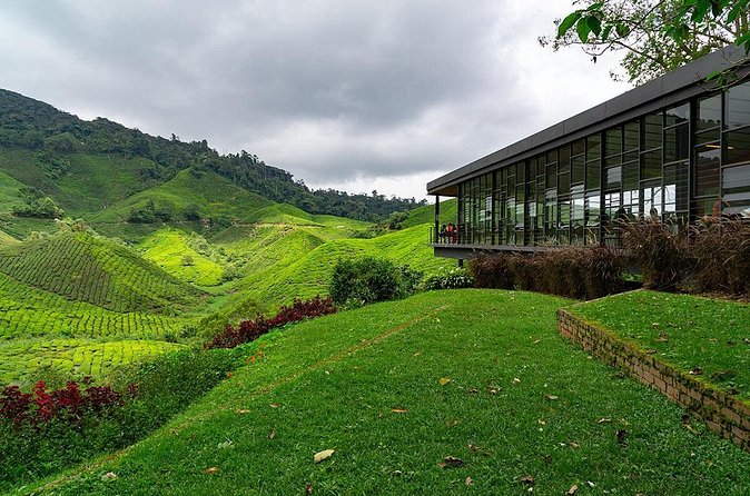 Cameron Highlands One Day Trip from Kuala Lumpur Privately Organised - What the guide adds to the experience