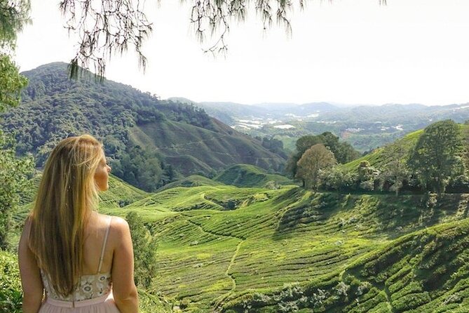Cameron Highlands Tour from Kuala Lumpur - A local lunch, with an important booking detail