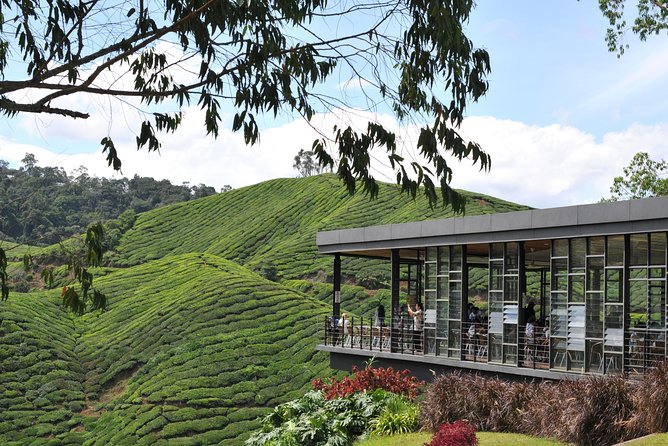 Cameron Highlands Tour From Kuala Lumpur (Private Tour) - Ringlet, villages, and the first highland views