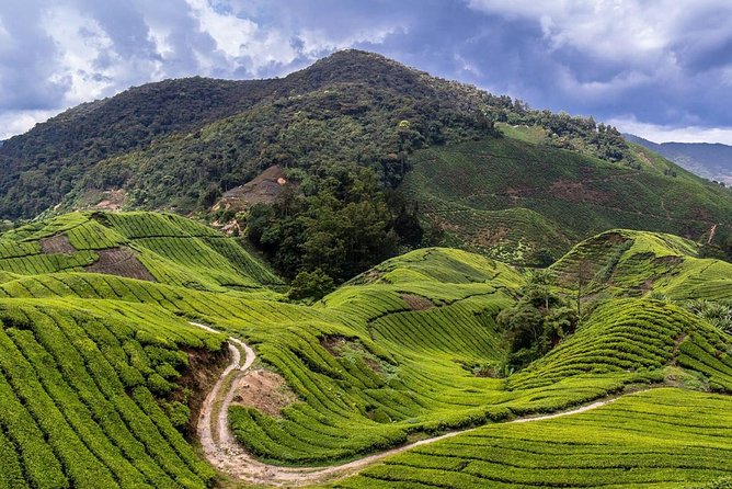 Cameron Highlands Tour on Private Basis - Lata Iskandar Waterfall and the road south