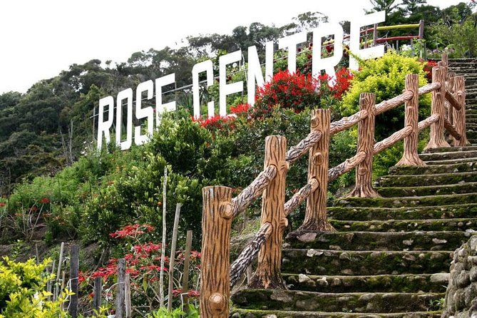 Cameron Highlands Tour on Private Basis - The indigenous village and blowpipe demonstration
