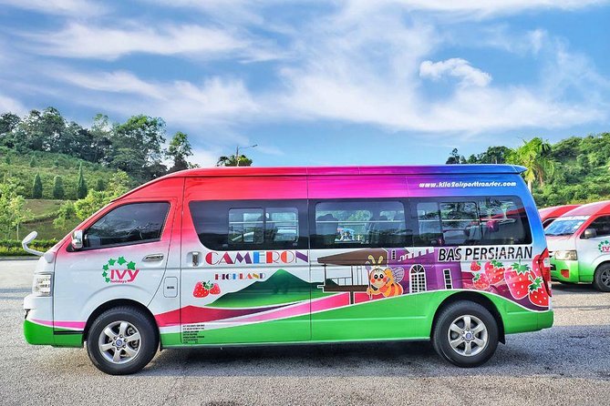 Cameron Highlands with Lunch Guided Day Tour (SIC/Shared Tour) - Strawberry farms: a short taste of the highlands