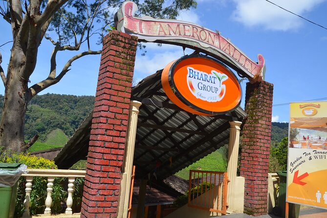 Elevate Your Senses: A Day of Wonders in Cameron Highlands! - Cameron Tringkap Bee Farm: honey and beekeeping
