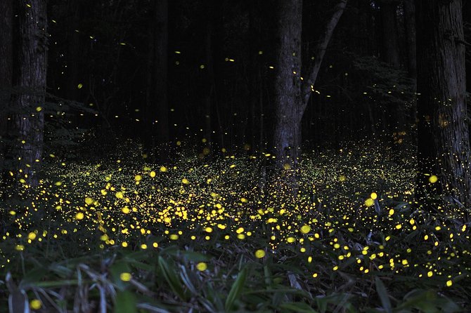 Fireflies Cruise with Batu Cave Visit and Seafood Dinner - Seafood dinner at Pasir Penambang