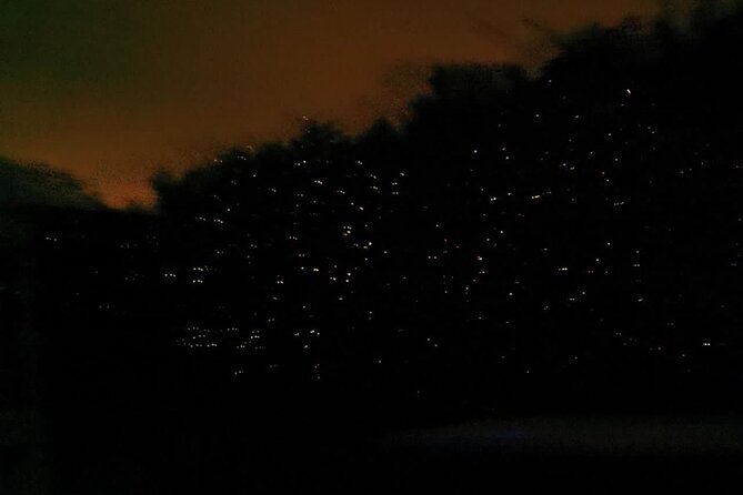 Fireflies & Silver leaf monkey Gazing tour - Guides can shape the whole evening