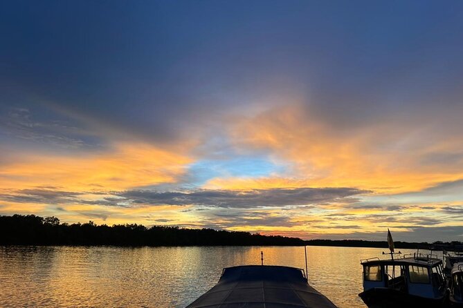 Fireflies & Silver leaf monkey Gazing tour - Timing, comfort, and practical limits