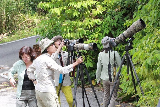 Fraser's Hill Bird-Watching & Nature Sightseeing Tour from Kuala Lumpur - Why the 5:30am start matters