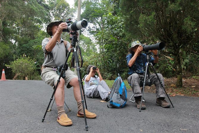 Fraser's Hill Bird-Watching & Nature Sightseeing Tour from Kuala Lumpur - Fraser’s Hill and the search for 270 bird types