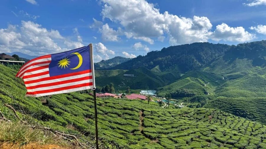 From Kuala Lumpur: Cameron Highlands Day Tour with Lunch - How the Schedule Feels in Real Life
