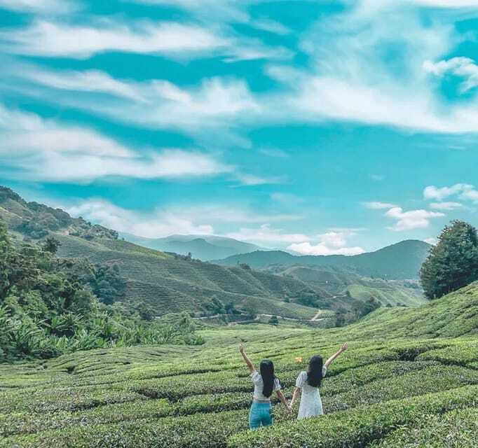 From Kuala Lumpur: Cameron Highlands Day Trip with Transfers - Why the Cameron Highlands make a good day trip