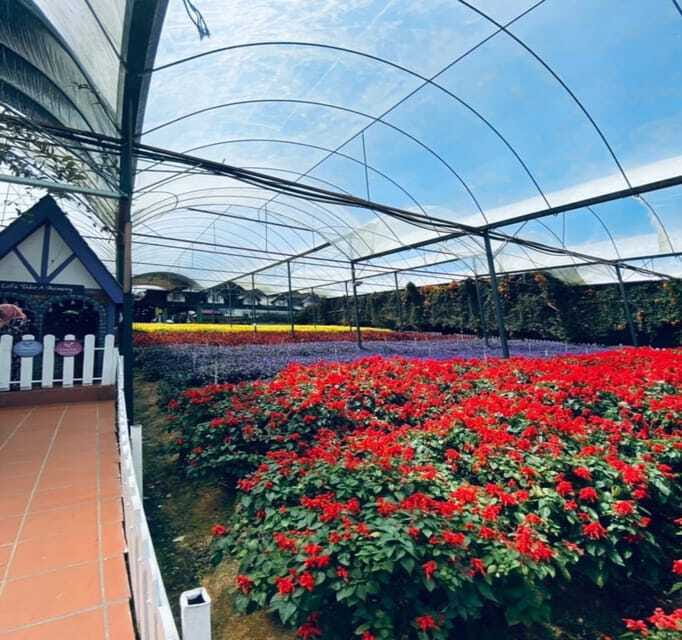 From Kuala Lumpur: Cameron Highlands Day Trip with Transfers - Honey production and the cactus garden