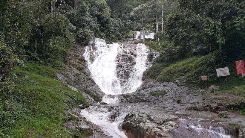 From Kuala Lumpur: Cameron Highlands Full-Day Tour - Rose Valley and the limits of a packed schedule