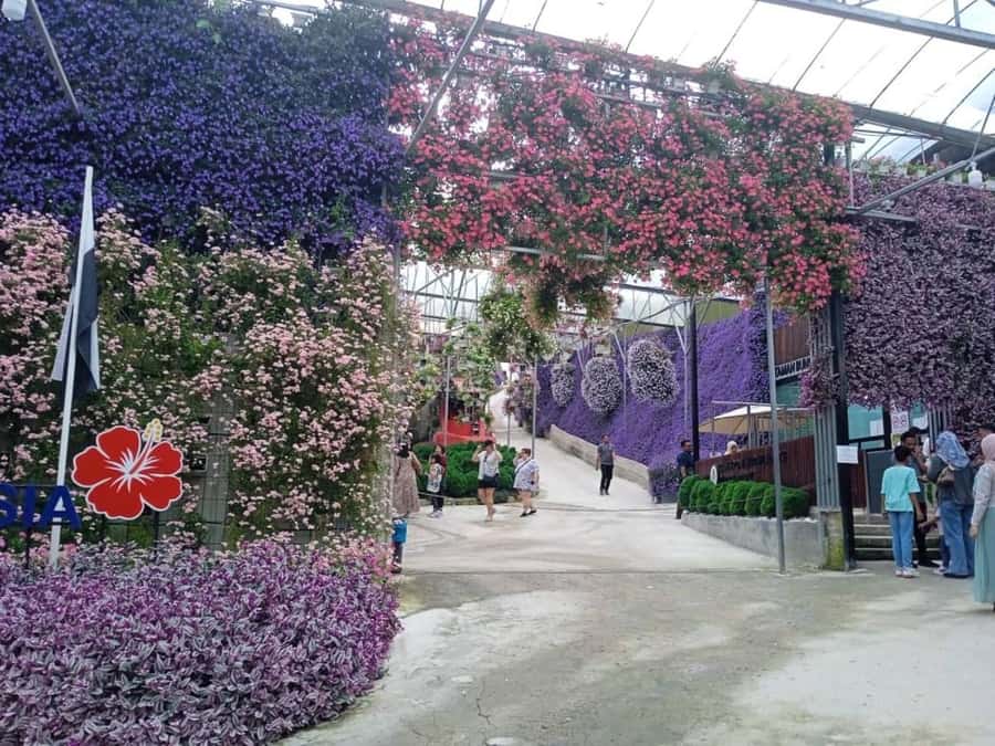 From Kuala Lumpur: Cameron Highlands Private or Join In Tour - Why the Cameron Highlands makes a good Kuala Lumpur escape