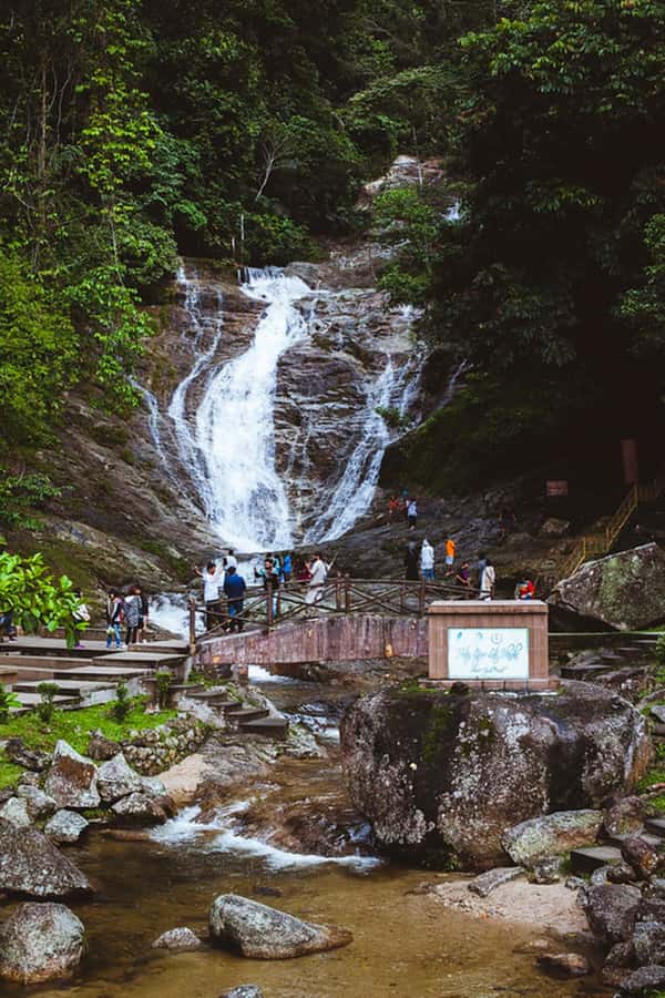 From Kuala Lumpur: Cameron Highlands Private or Join In Tour - Flora Park is built for photographs