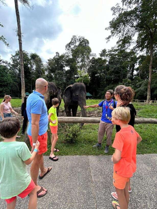 From Kuala Lumpur: Elephant Sanctuary Guided Tour - Key Points at a Glance