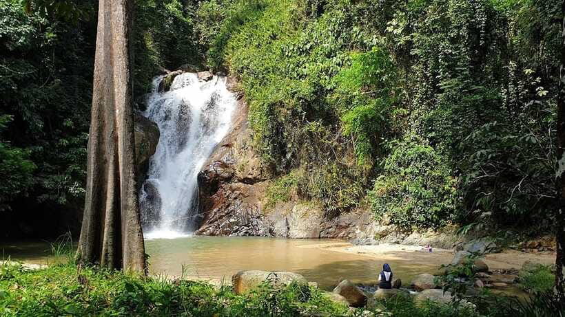 From Kuala Lumpur: Elephant Sanctuary Guided Tour - Lunch and the Ride Back to Kuala Lumpur